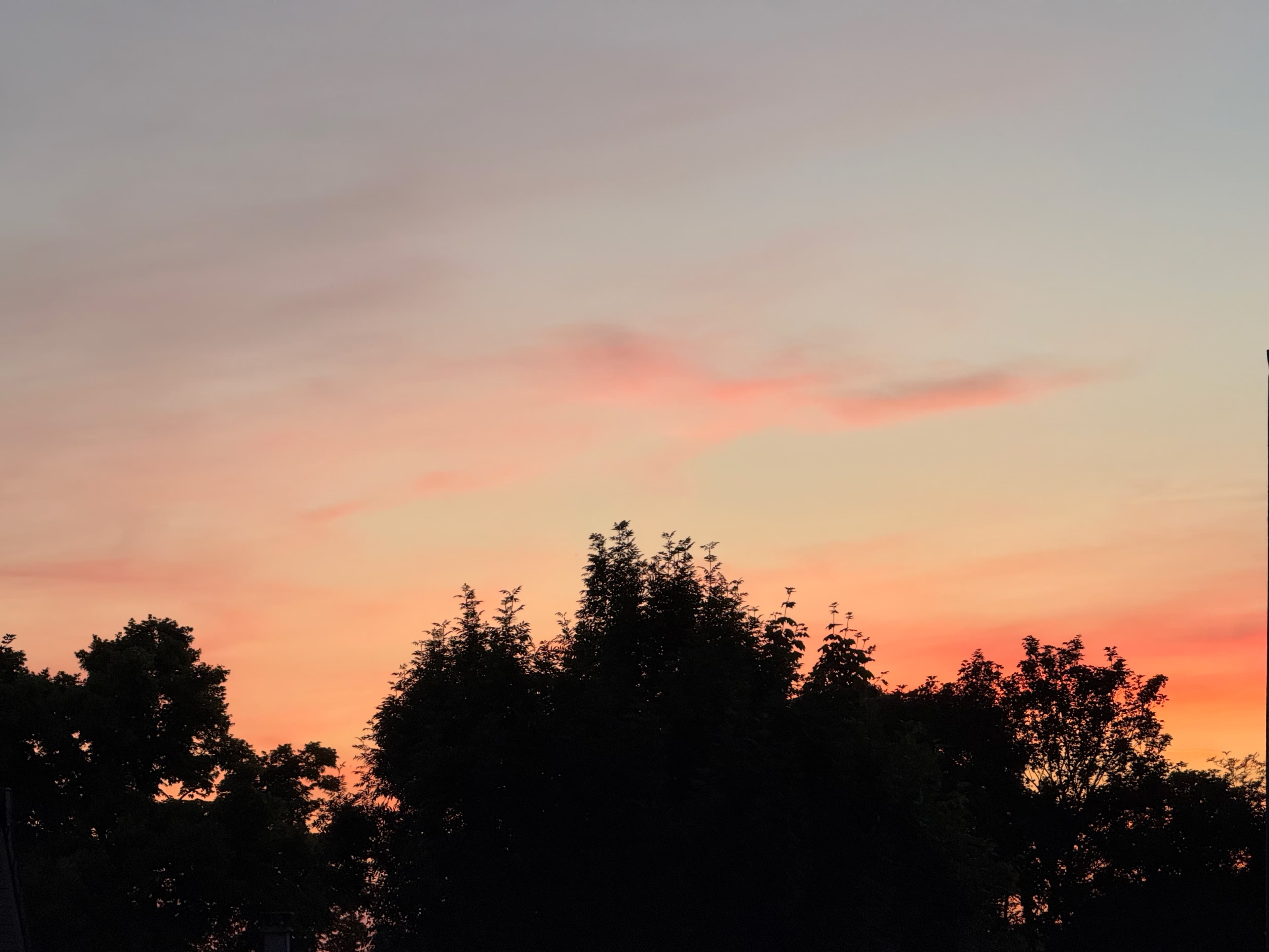 Murmures guest house — living space